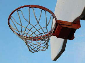 LeyuSports-篮球运动员专项技能训练效果评价与提升策略，篮球技能评价标准