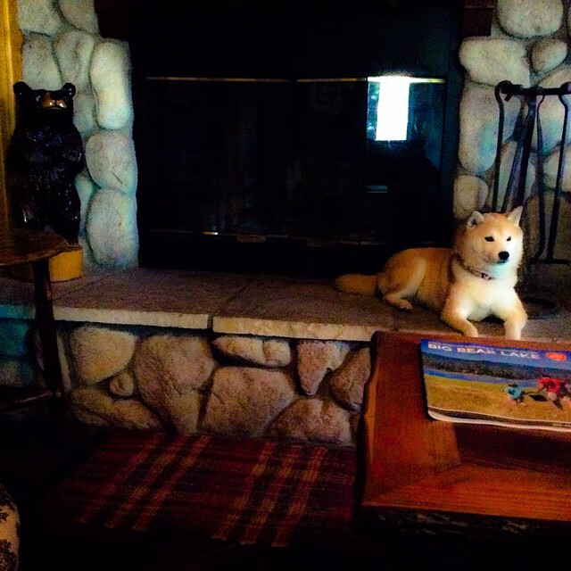 2024年埃及队表现：乒乓世界杯中的崭露头角，埃及乒乓球发展状况