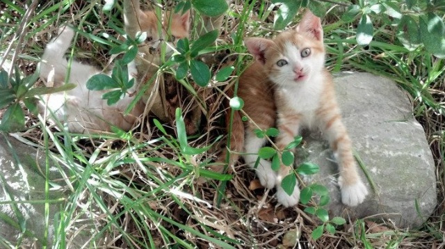 中国男篮注重训练质量 力求突破自我,中国男篮咋样