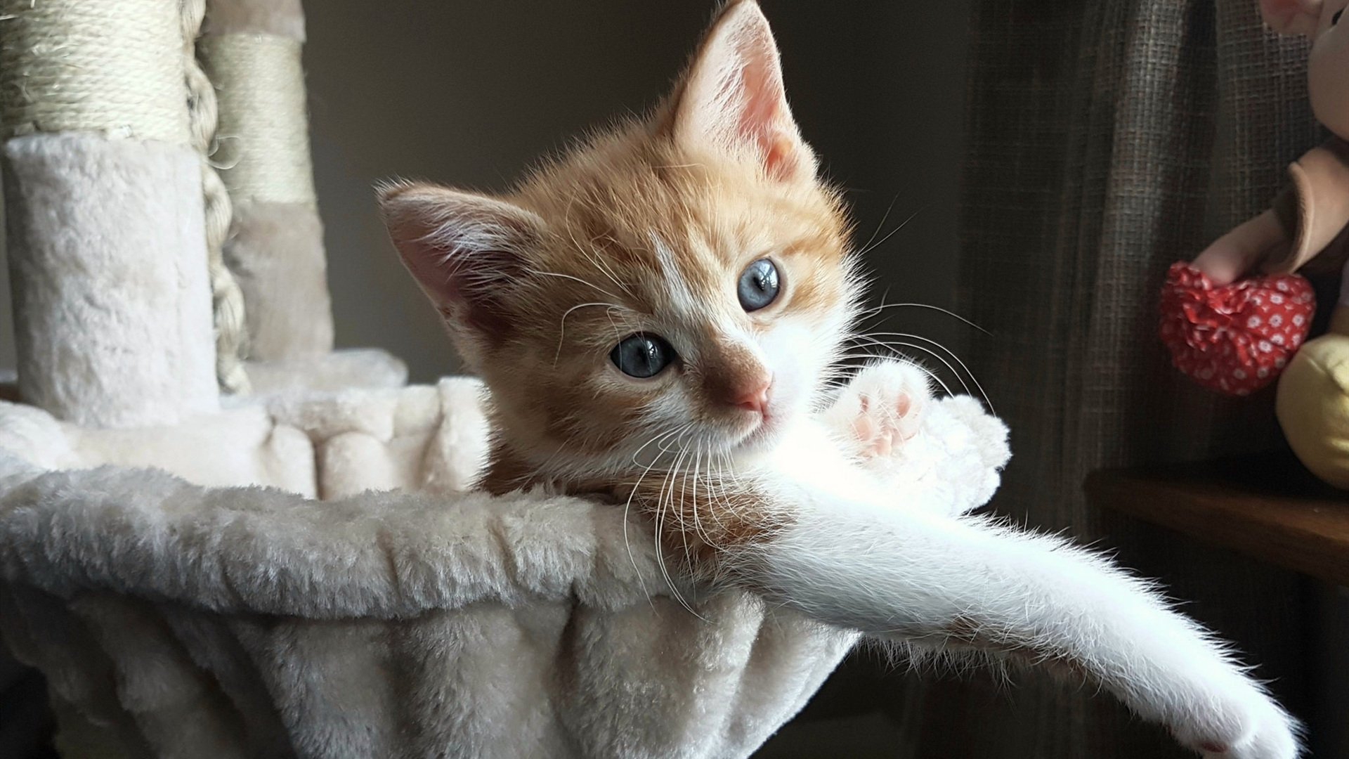 五大联赛是否趋向阵型宽度最大化以撕裂防线,五大联赛系数