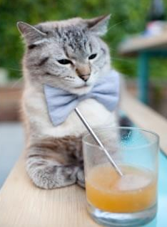 亚洲杯中国女足战败 球迷呼吁重视后防建设,中国女足冲出亚洲了嘛