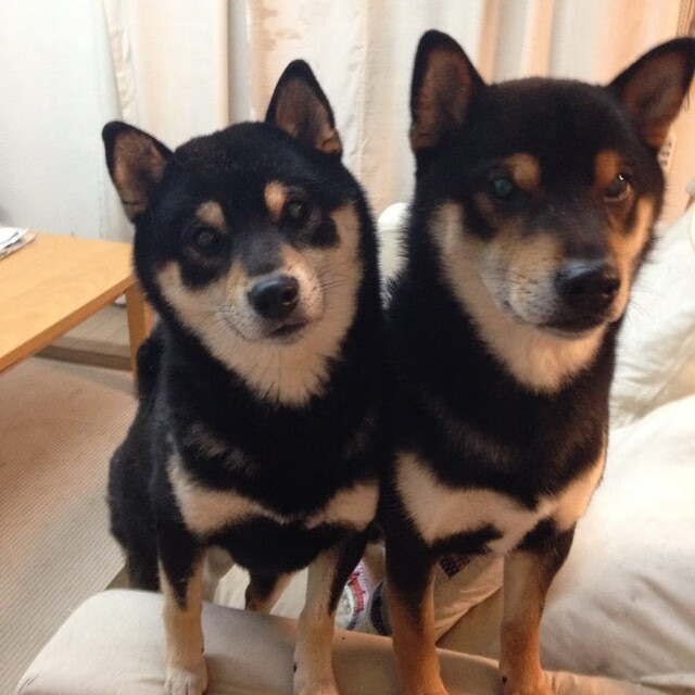 新赛季球队战术调整频繁,新赛季球队战术调整频繁的原因