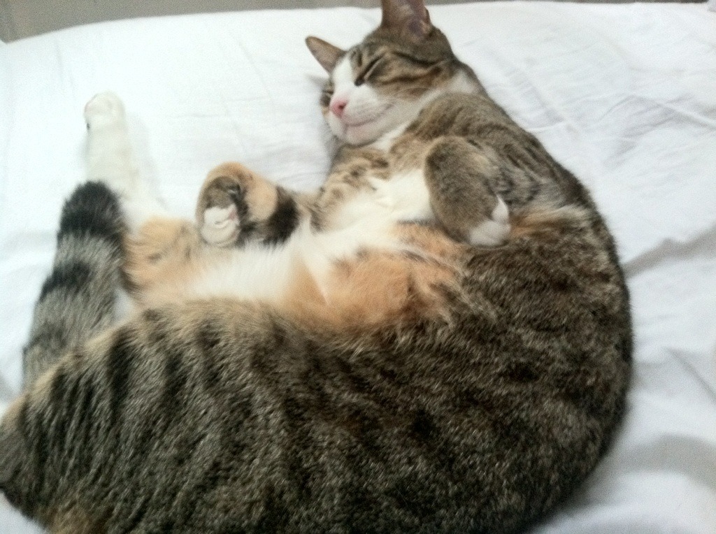 美方换气节奏三年趋于更紧密