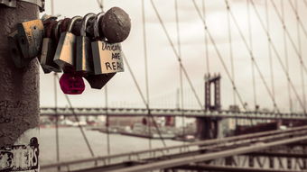 乐鱼电竞在线平台-意甲科技装备驱动的训练体系