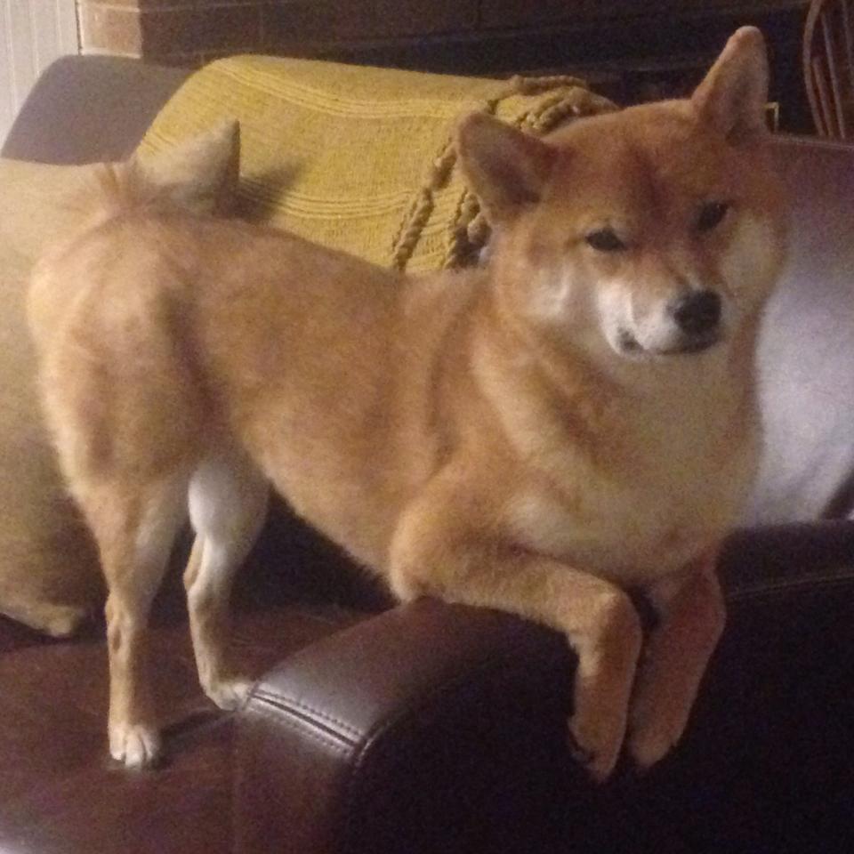 托里·哈斯克赛后分享备战心得，哈利·斯托克维尔