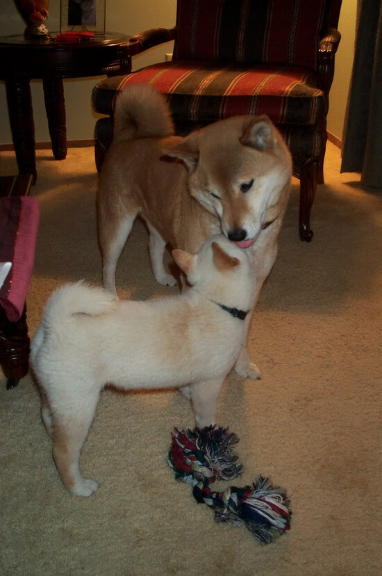 乐鱼体育-曼联内部视频记录更衣室温情瞬间，曼联的视频