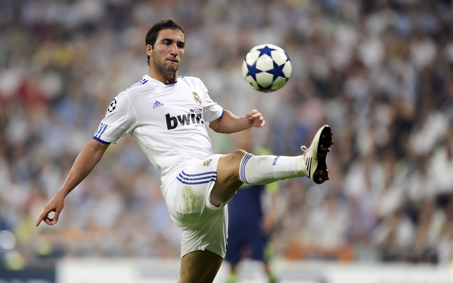 世界杯:金哨马特乌斯执法决赛 表现稳健获得双方认可